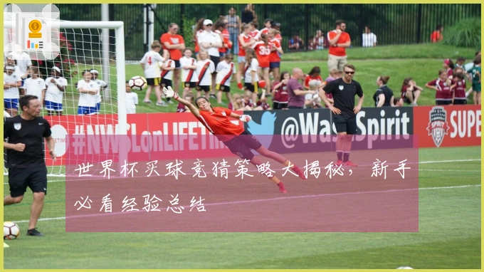 世界杯买球竞猜策略大揭秘，新手必看经验总结