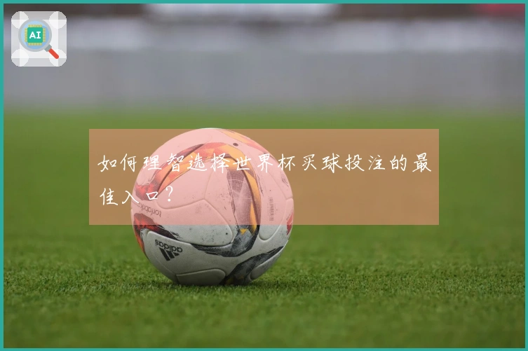 如何理智选择世界杯买球投注的最佳入口？