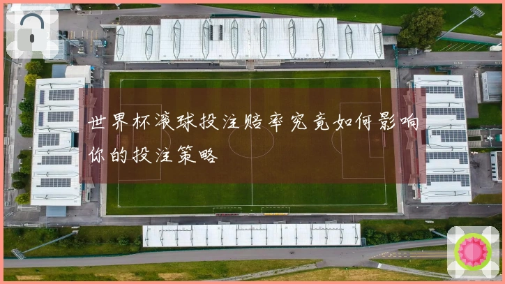 世界杯滚球投注赔率究竟如何影响你的投注策略