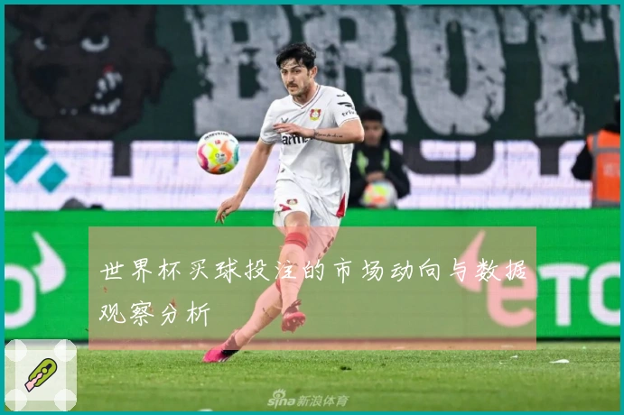 世界杯买球投注的市场动向与数据观察分析