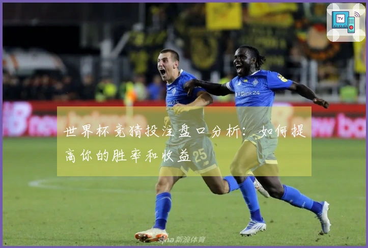 世界杯竞猜投注盘口分析：如何提高你的胜率和收益