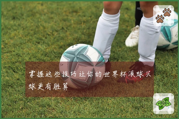 掌握这些技巧让你的世界杯滚球买球更有胜算