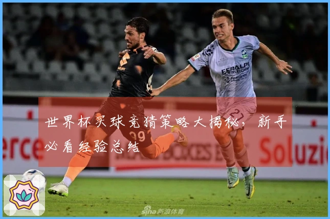 世界杯买球竞猜策略大揭秘，新手必看经验总结