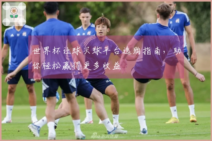 世界杯让球买球平台选购指南，助你轻松赢得更多收益
