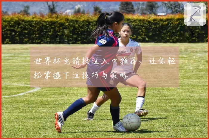 世界杯竞猜投注入口推荐，让你轻松掌握下注技巧与策略