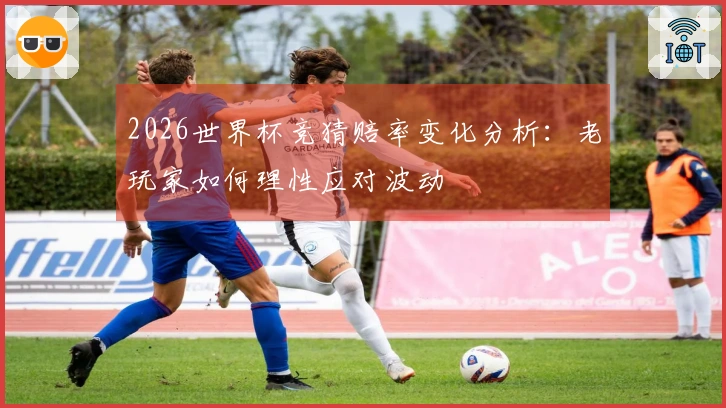 2026世界杯竞猜赔率变化分析：老玩家如何理性应对波动
