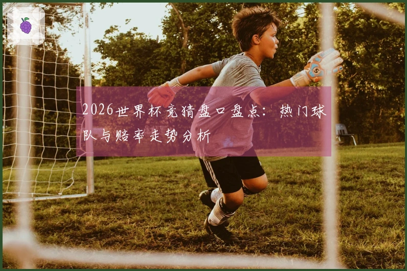 2026世界杯竞猜盘口盘点：热门球队与赔率走势分析
