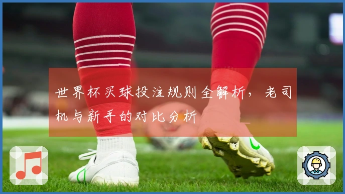 世界杯买球投注规则全解析，老司机与新手的对比分析