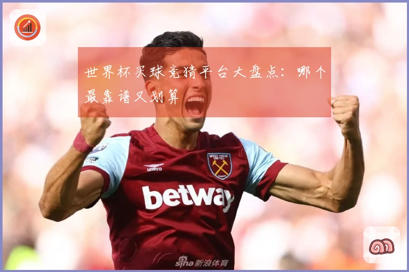 世界杯买球竞猜平台大盘点：哪个最靠谱又划算
