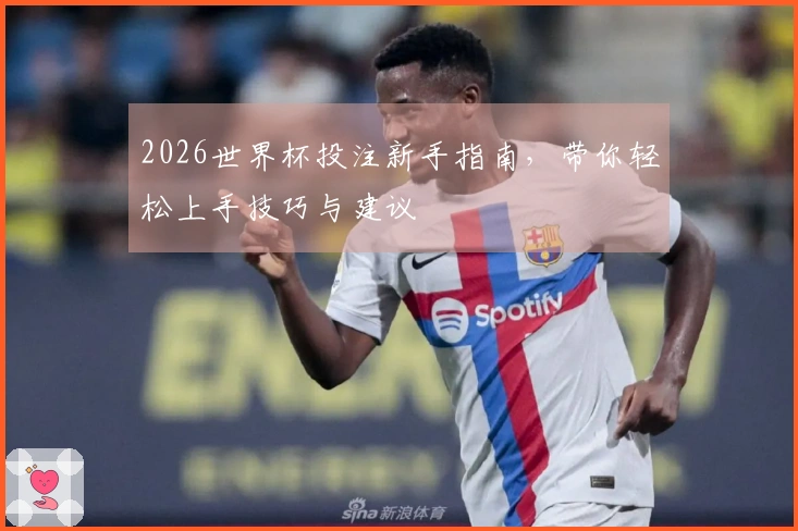 2026世界杯投注新手指南，带你轻松上手技巧与建议
