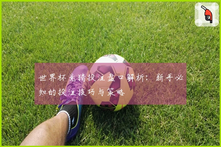 世界杯竞猜投注盘口解析：新手必知的投注技巧与策略
