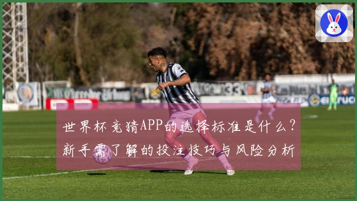 世界杯竞猜APP的选择标准是什么？新手需了解的投注技巧与风险分析