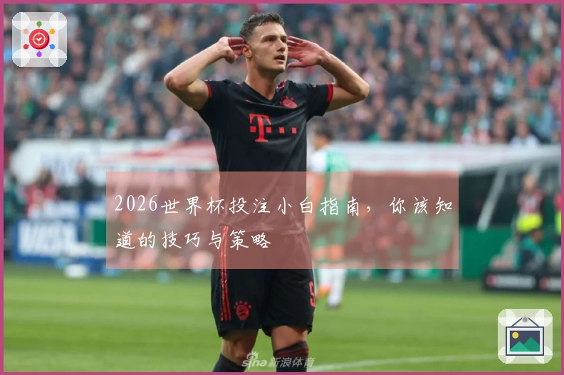 2026世界杯投注小白指南，你该知道的技巧与策略